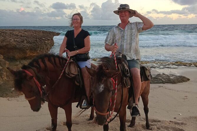 Shore Excursion Arubas Ecological and Beach Horseback Riding - FAQ