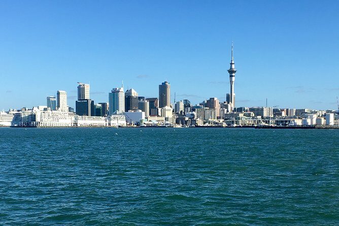 Shore Excursion: Auckland Scenic Full Day Tour - 8 Hours - A Full-Day Exploration of Auckland’s Best: Shore Excursion Review