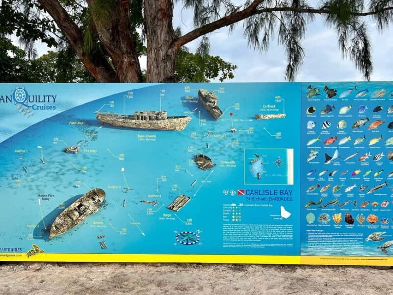 Shore Excursion Barbados Beach Day & Turtle Swim Experience - The Value and Practicalities