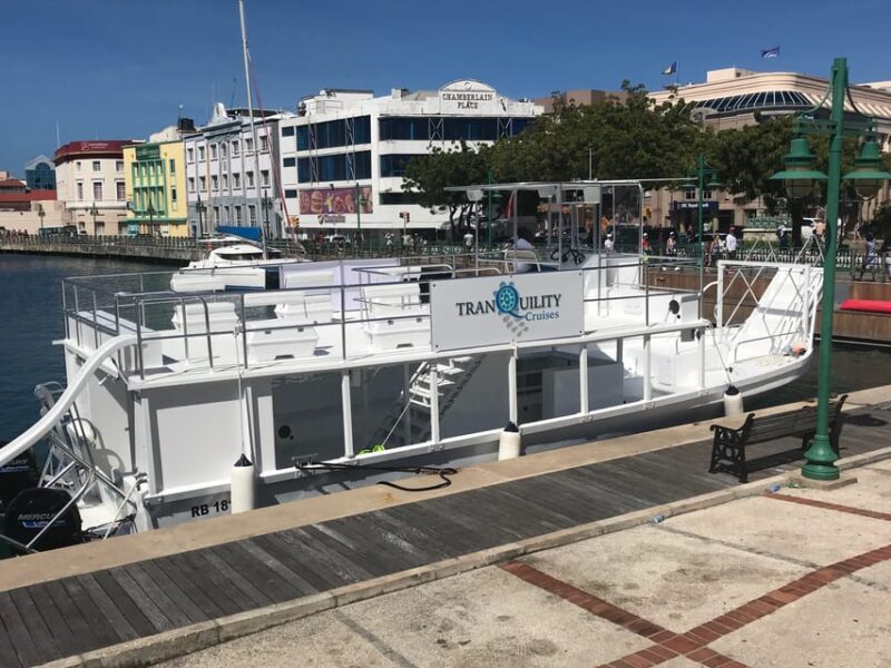 Shore Excursion Barbados Beach Day & Turtle Swim Experience - Final Thoughts