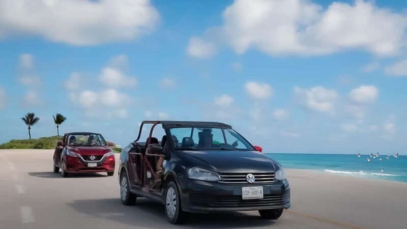 Shore Excursion: Buggy Tour with Mayan Ruins & Beach Time - Who Should Book This Tour?