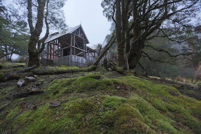 Shore Excursion Burnie to Cradle Mountain - The Sum Up: Who Should Consider This Tour?