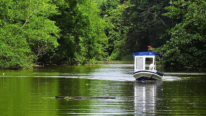 Shore Excursion: Caribbean Highlights Tour from Limon - An In-Depth Look at the Caribbean Highlights Tour from Limon
