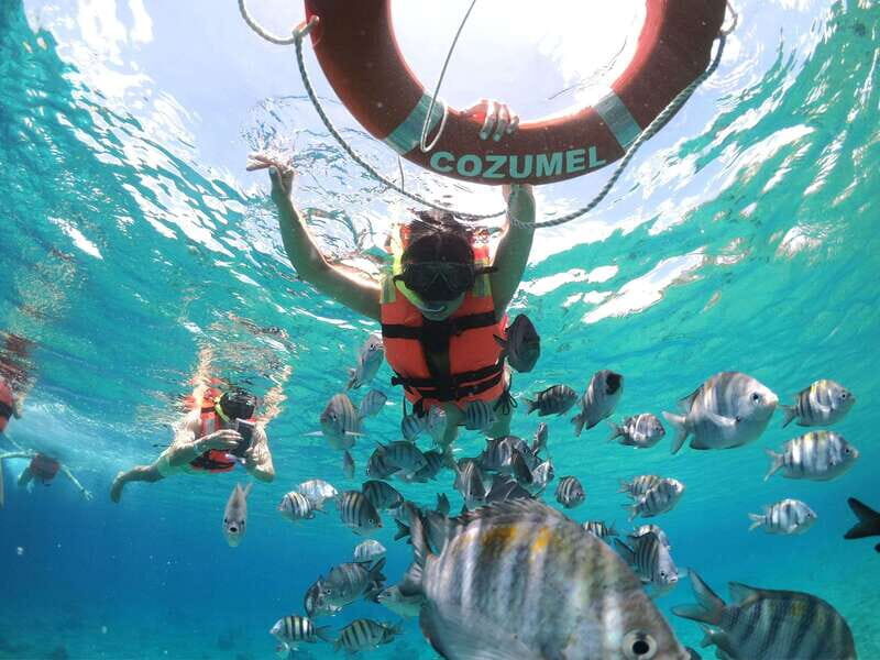 Shore Excursion: Clear Boat Tour with Snorkel & Drinks - Exploring the Tour in Detail