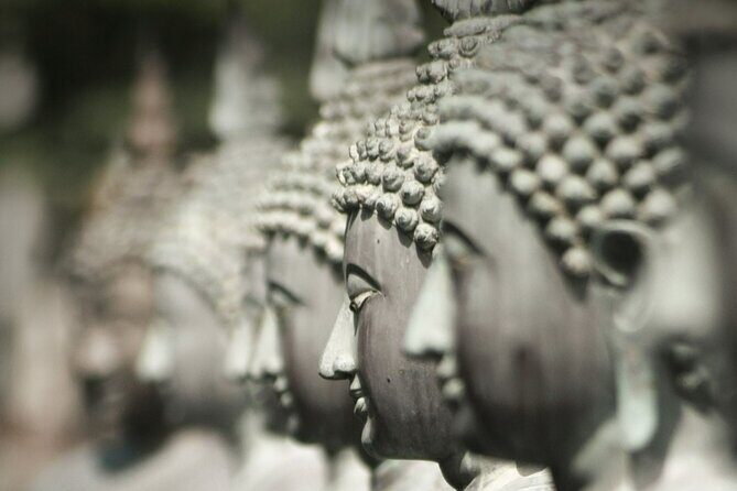 Shore Excursion Colombo City tour - Wrapping Up