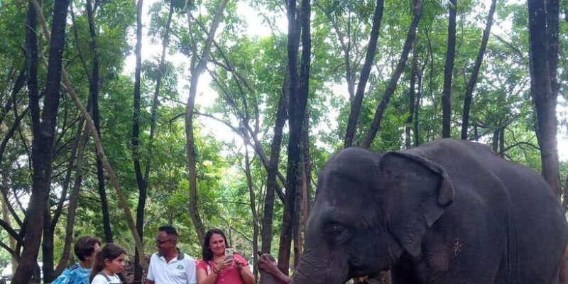 Shore Excursion Colombo Highlight Tour from Passenger Pier. - Who Would Enjoy This Tour?