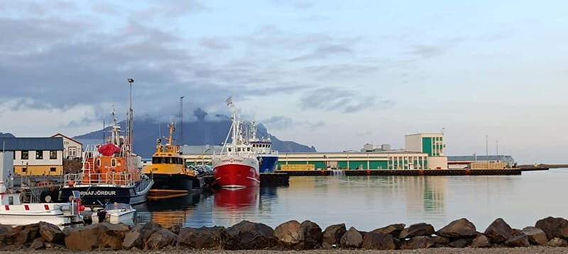 Shore excursion Djúpivogur: Stokksnes-Vestrahorn-Höfn(lunch) - FAQ