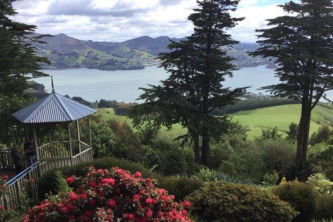 Shore Excursion: Dunedin City, Otago Peninsula, Castle Gardens & Olveston Tour - Key Points