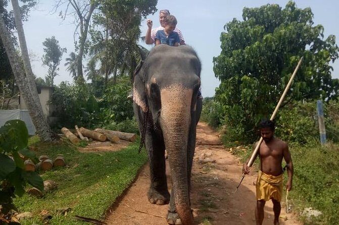 Shore Excursion From Colombo port to Ingiriya Tea Plantation & back for 2 People - Detailed Breakdown of the Experience