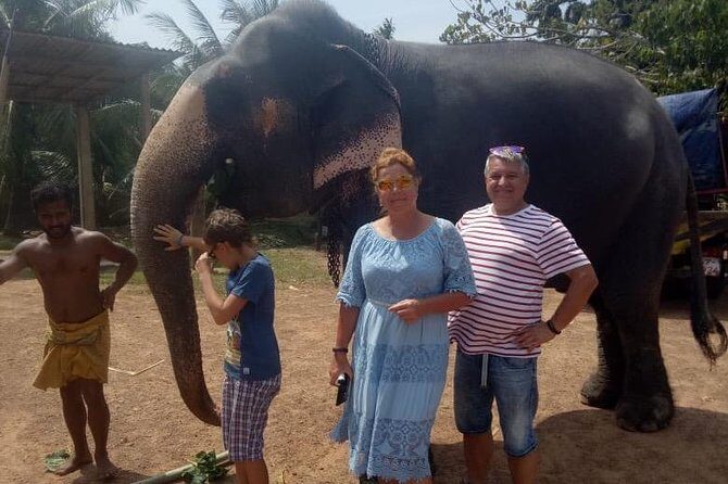 Shore Excursion From Colombo port to Ingiriya Tea Plantation & back for 2 People - FAQ