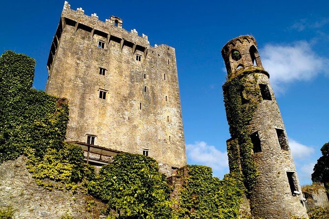 Shore Excursion From Cork: Including Blarney Castle and Kinsale - What the Reviews Tell Us