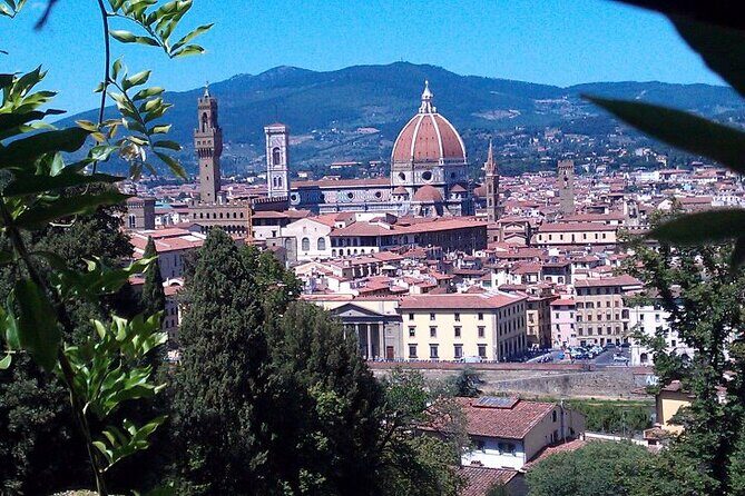 Shore Excursion from Livorno: Private Florence Tour with Michelangelo's 'David' - Who Would Love This Tour?