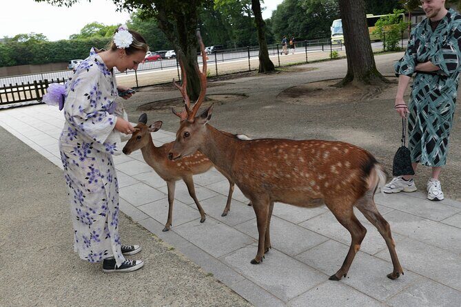 Shore Excursion: Full Day Private Nara Tour from Osaka /Kobe port - Key Points