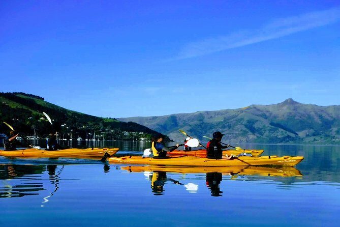 Shore Excursion Guided Sea Kayaking through Akaroa Marine Reserve - Experience the Best of Akaroa by Sea Kayak