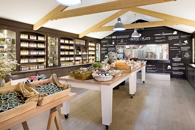 Shore Excursion: Hahndorf & Barossa Valley including Lunch - Who Will Love This Tour?