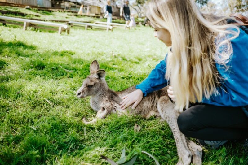 Shore Excursion: Hobart Wanderer - The Itinerary in Detail