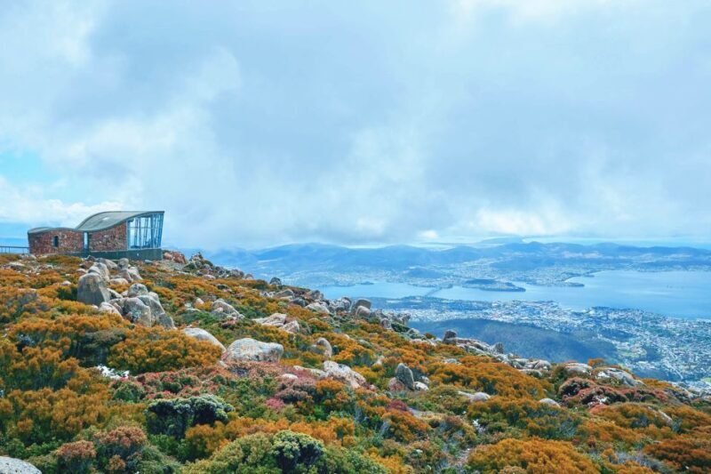 Shore Excursion: Hobart Wanderer - The Transport and Group Size