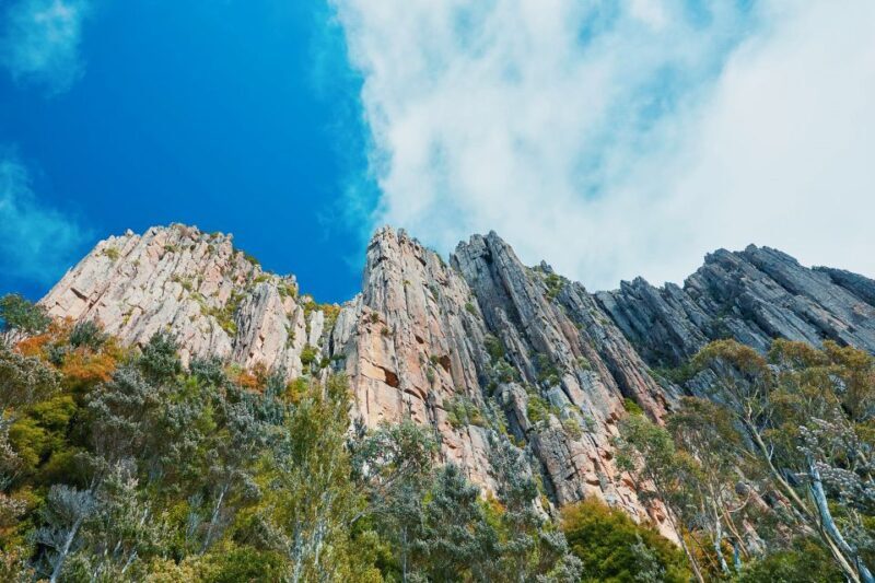 Shore Excursion: Hobart Wanderer - The Balance of Cost and Value