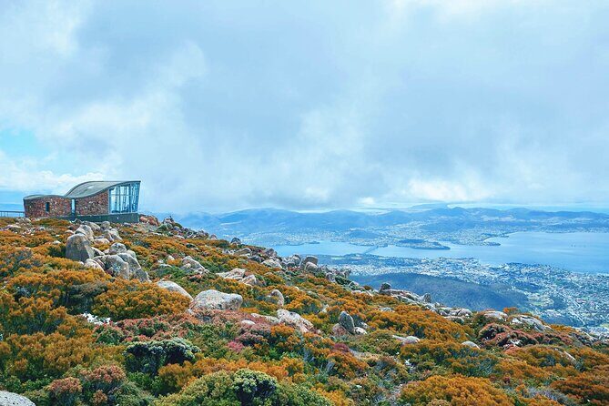 Shore Excursion-Hobart Wanderer - An In-Depth Look at the Hobart Wanderer Tour