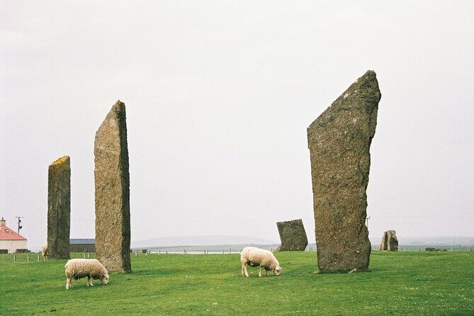 Shore Excursion Kirkwall Small Group Highlights of Orkney - Who Will Love This Tour?