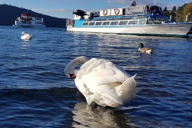 Shore Excursion: Lake District Adventure Sightseeing Day Trip from Liverpool - In-Depth Look at the Itinerary