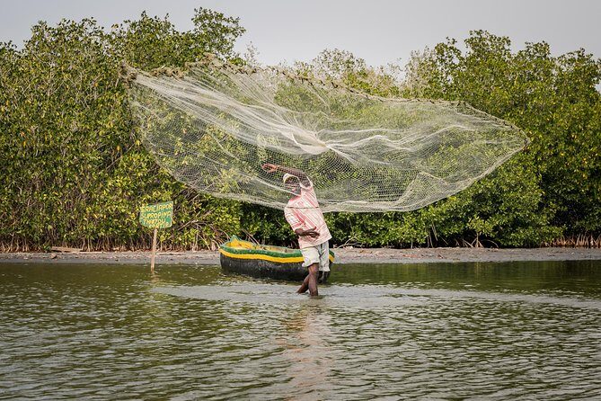 Shore Excursion Mangroves tour - Key Points