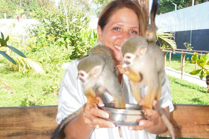 Shore Excursion Monkey Encounter and Puerto Plata City Tour - Final Thoughts