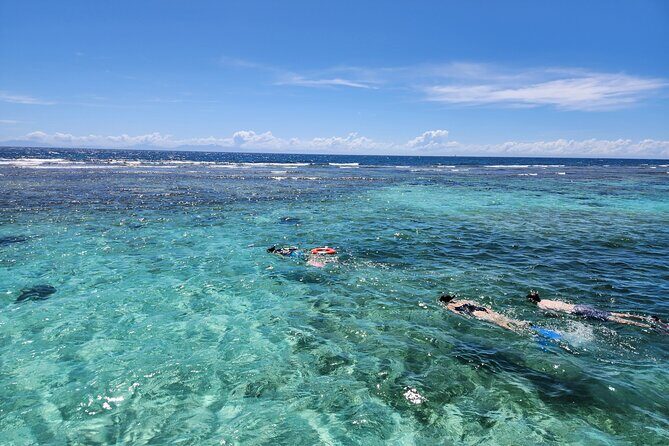 Shore Excursion: Monkey & Sloths Sanctuary Snorkel Adventure - A Detailed Look at the Roatan Monkey & Sloths Sanctuary Snorkel Adventure