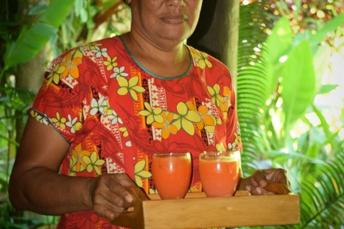 Shore Excursion-Nadi Mudpools,Sleeping Giants Gardens,Markets, Temple & Shopping - Analyzing the Value