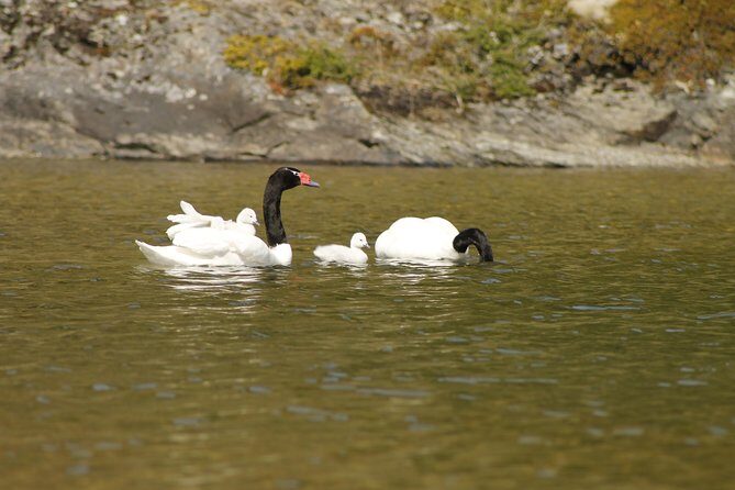 Shore Excursion - National Park Tierra del Fuego - Final Thoughts: Is This the Tour for You?