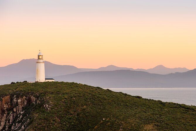 Shore Excursion: Nipaluna (Hobart) Highlights - Frequently Asked Questions