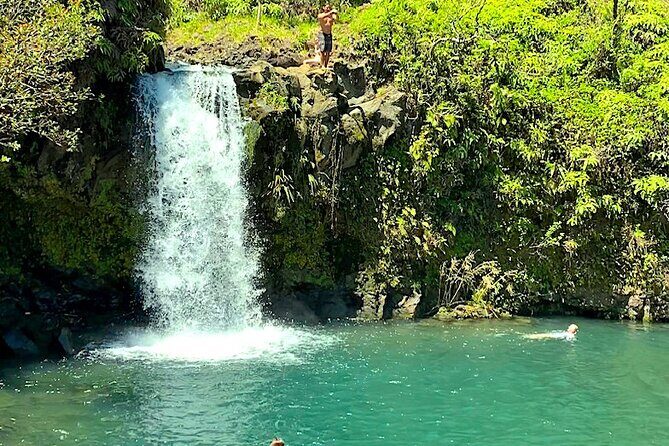 Shore Excursion of Maui - A Closer Look at the Maui Road to Hana Tour