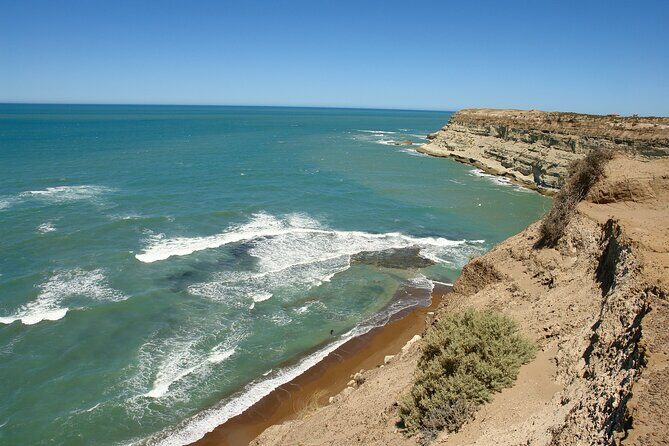Shore Excursion Peninsula Valdes or Punta Tombo - Private Car - A Closer Look at the Private Shore Excursion from Puerto Madryn