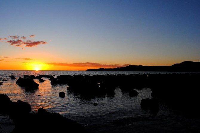 Shore Excursion Peninsula Valdes or Punta Tombo - Private Car - Practical Tips for Your Tour