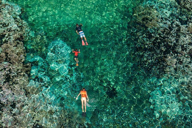 Shore Excursion Premium Family Snorkeling Experience - The Itinerary Breakdown