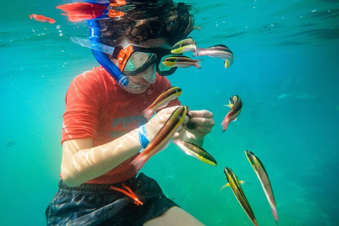 Shore Excursion Premium Family Snorkeling Experience - Final Thoughts: Who Should Consider This Tour?