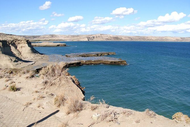 Shore Excursion: Private Day Trip to Peninsula Valdes from Puerto Madryn - A Close Look at the Private Day Trip to Peninsula Valdés