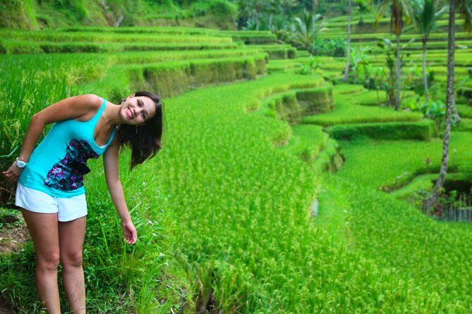 Shore Excursion : Private Tours To Ubud Art village And Surrounding Area - Discovering Ubud’s Artistic Heart and Scenic Surroundings