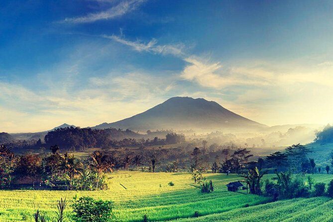 Shore Excursion : Private Tours To Ubud Art village And Surrounding Area - Final Thoughts on Value and Experience