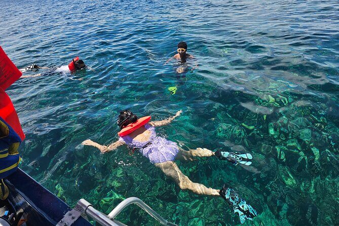 Shore Excursion Roatan Zip Line, Wildlife Eco-Park and Snorkel - Key Points