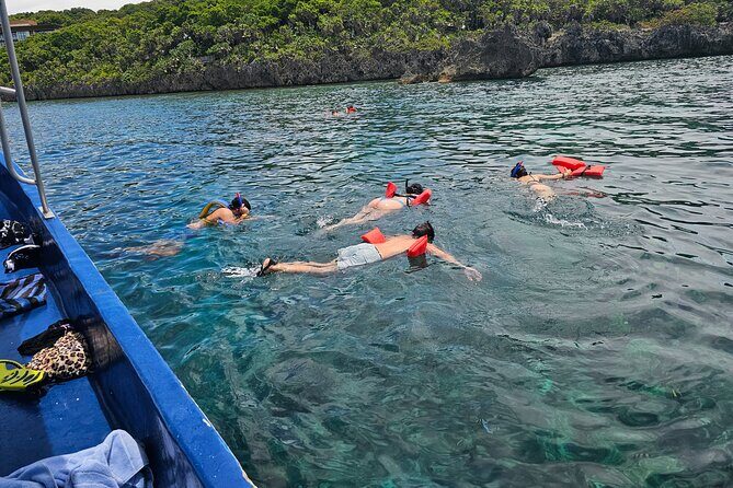 Shore Excursion Roatan Zip Line, Wildlife Eco-Park and Snorkel - The Sum Up