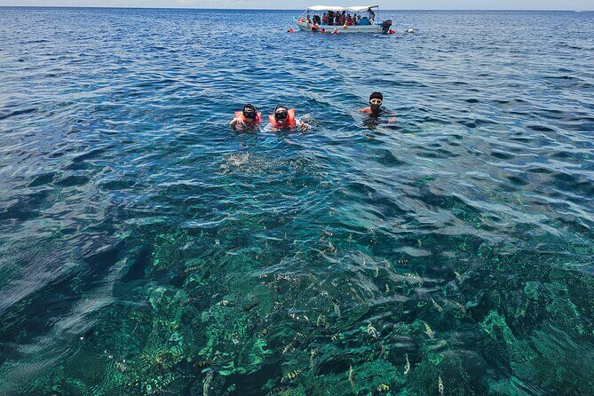 Shore Excursion Roatan Zip Line, Wildlife Eco-Park and Snorkel - FAQ