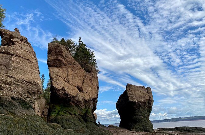 Shore Excursion to Hopewell Rocks and Fundy National Park - Practical Tips for Your Trip