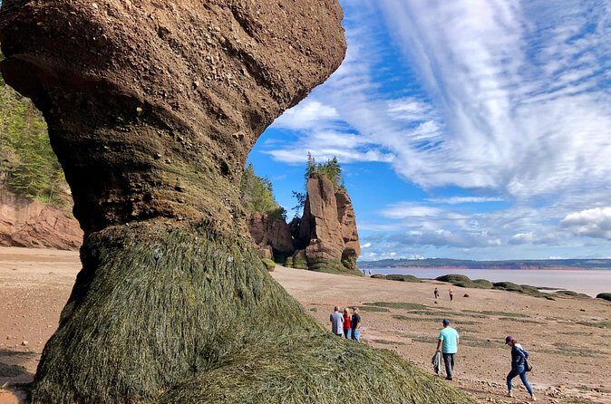 Shore Excursion to Hopewell Rocks and Fundy National Park - Who Will Love This Tour?