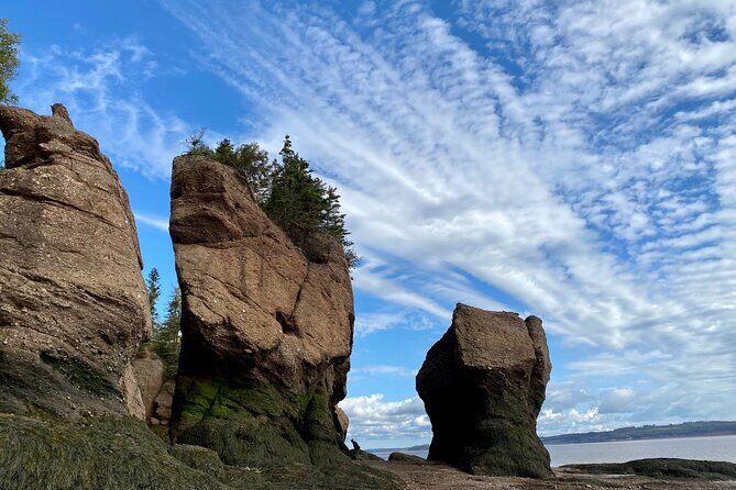 Shore Excursion to Hopewell Rocks and Fundy National Park - The Sum Up