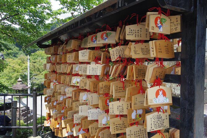 Shore Excursion to Kyoto from Kobe All Inclusive Tour - Who Should Consider This Tour?