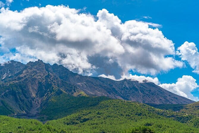 Shore Excursion Tour from Kagoshima Port - Exploring Kagoshima’s Historic and Natural Marvels in Depth