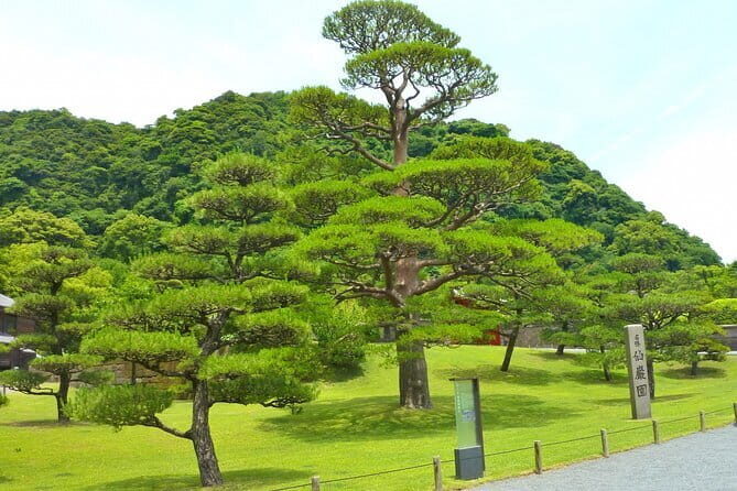 Shore Excursion Tour from Kagoshima Port - Practicalities and Considerations