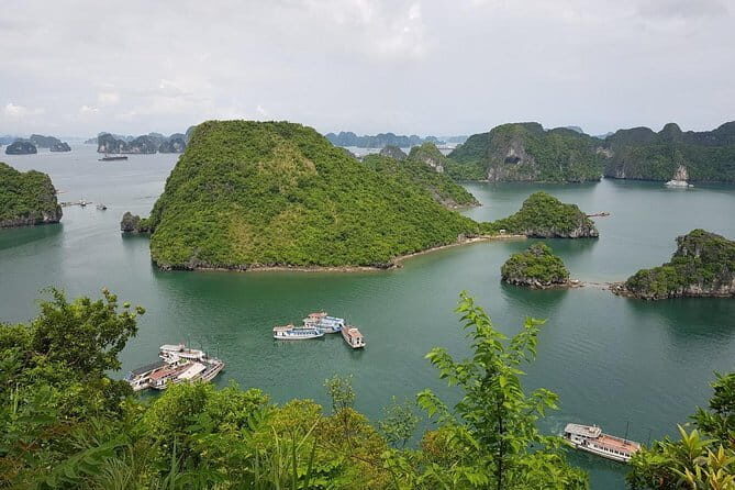 Shore Excursion: Wonderful Day Cruise at Halong Bay - Key Points