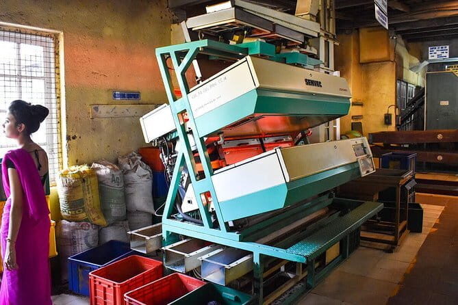 Shore Excursions Colombo Port Passenger Terminal to Kandy By Car. - An In-Depth Look at the Colombo to Kandy Shore Excursion